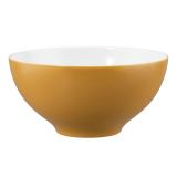 Seltmann Life Amber Gold Schssel 15,5 cm